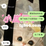 高雄客評 霏霏 155 B 20歲