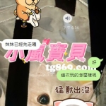 雙北客評 紅茶 158 D  25歲